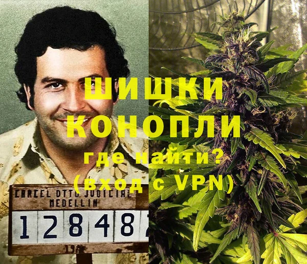 mdpv Вяземский