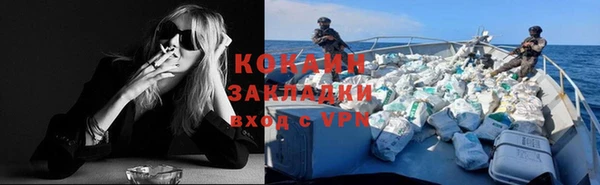 mdpv Вяземский
