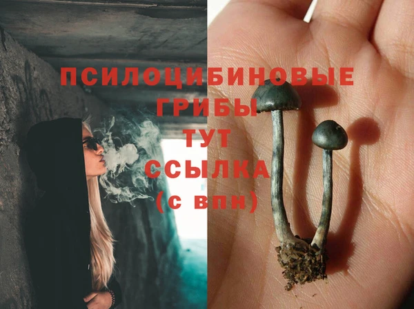 трава Вязьма