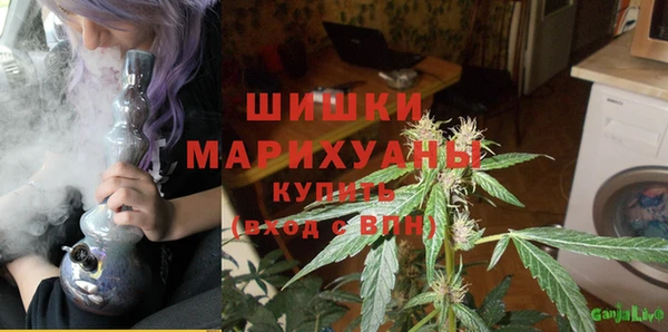mdpv Вяземский
