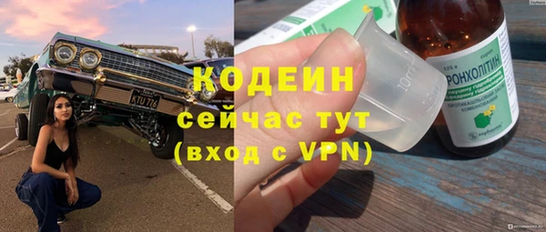 mdpv Вяземский