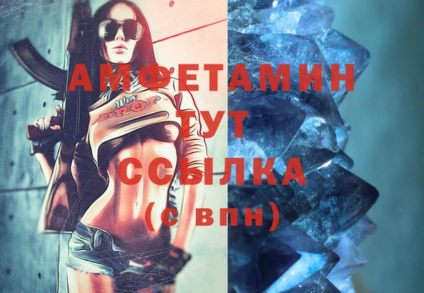 mdpv Вяземский