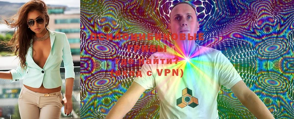mdpv Вяземский