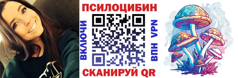 МЕГА   Данилов  Галлюциногенные грибы Psilocybe 